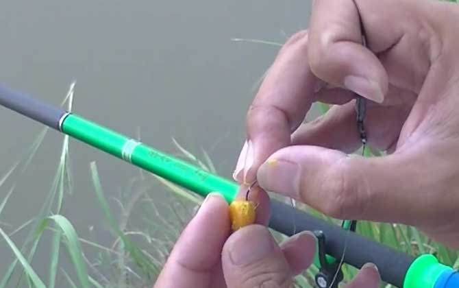 水库玉米钓鱼技巧和方法