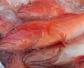石斑鱼和红石斑鱼的区别