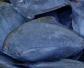 黑鲳鱼是海鱼还是淡水鱼？
