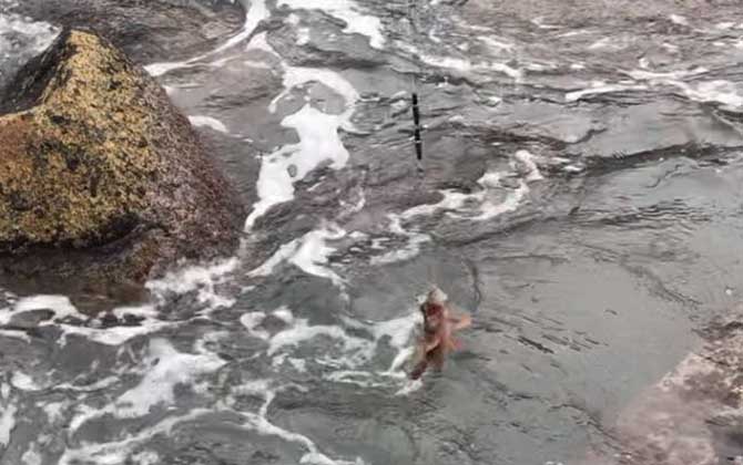 浮游矶钓