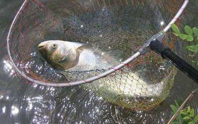 水库钓鱼