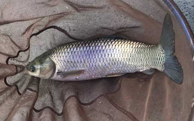 水库钓鱼