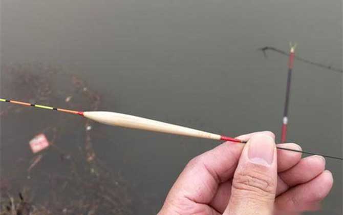 台钓调漂方法