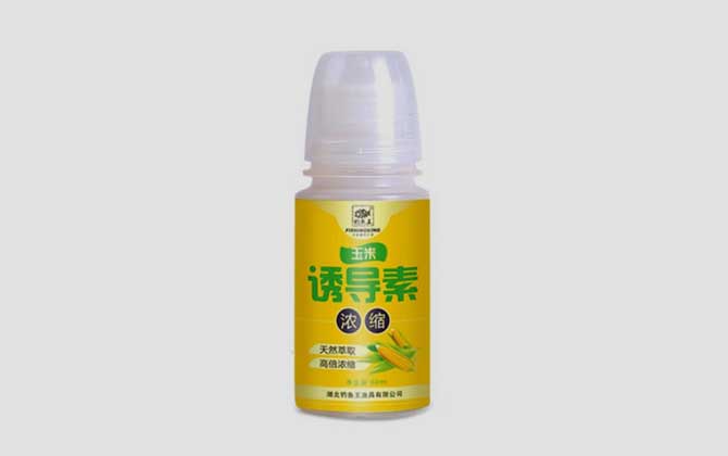 小药