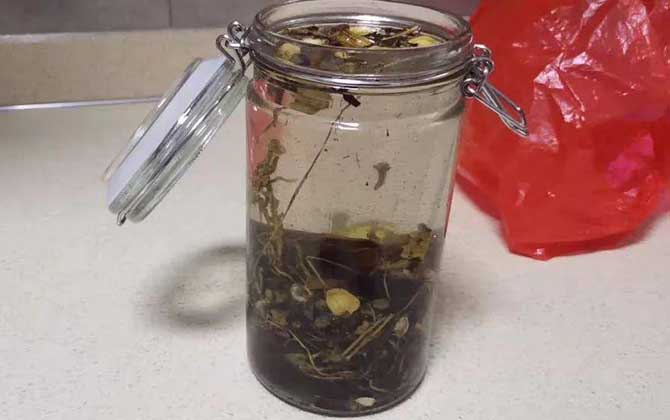 药酒