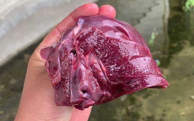 禽畜内脏