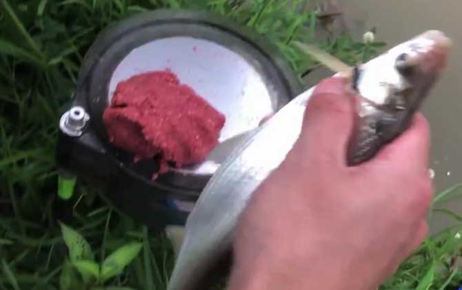 秋季钓鱼