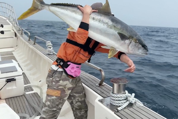 黄条鰤是什么鱼?