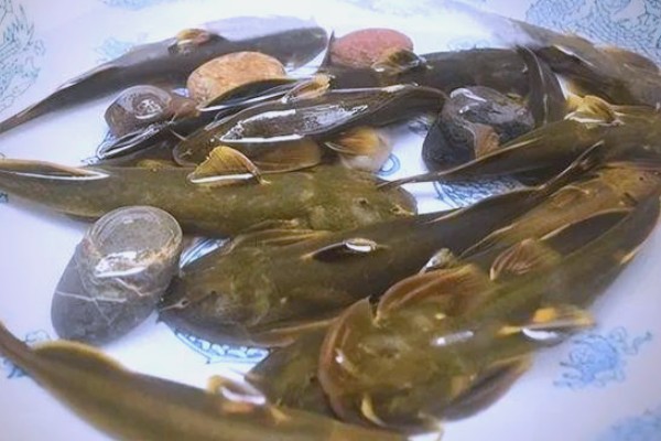 石爬鮡是什么鱼？