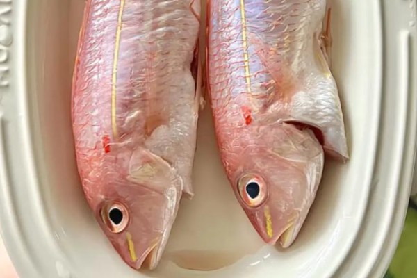 黄缘金线鱼是什么鱼?