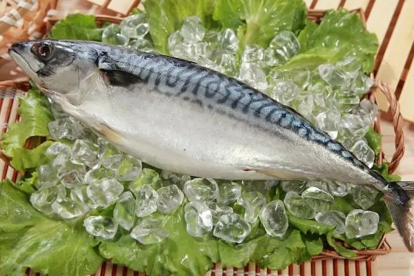 花池鱼是什么鱼?