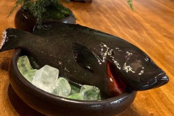 烟鲈是什么鱼？